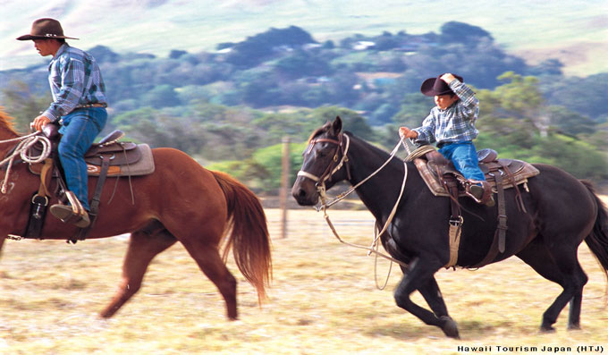 Hawaii Ranchers Moving